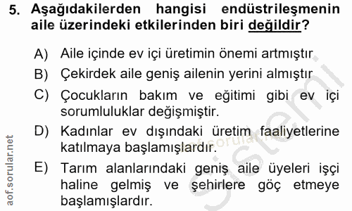 5. soru: Aşağıdakilerden hangisi endüstrileşmenin aile üzerindeki etkilerinden biri değildir? A) Aile içinde ev içi üretimin ö…