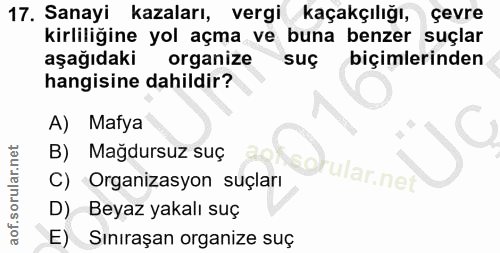 17. soru: Sanayi kazaları, vergi kaçakçılığı, çevre kirliliğine yol açma ve buna benzer suçlar aşağıdaki organize suç biçimleri…