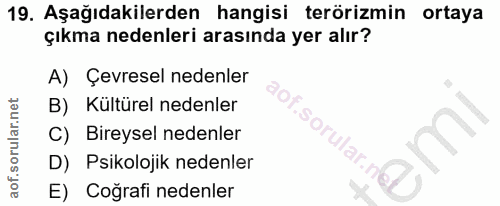 19. soru: Aşağıdakilerden hangisi terörizmin ortaya çıkma nedenleri arasında yer alır? A) Çevresel nedenler B) Kültürel nedenle…