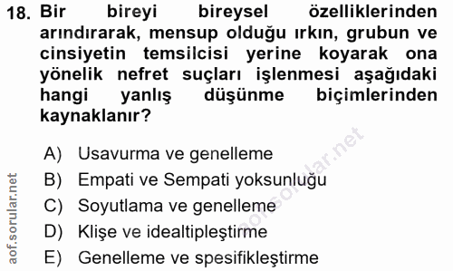 18. soru: Bir bireyi bireysel özelliklerinden arındırarak, mensup olduğu ırkın, grubun ve cinsiyetin temsilcisi yerine koyarak…