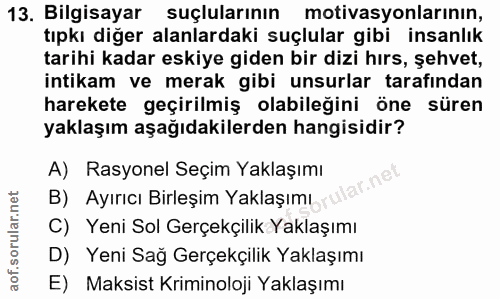 13. soru: Bilgisayar suçlularının motivasyonlarının, tıpkı diğer alanlardaki suçlular gibi insanlık tarihi kadar eskiye giden b…