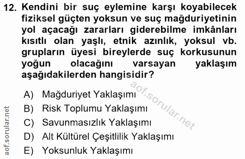12. soru: Kendini bir suç eylemine karşı koyabilecek fiziksel güçten yoksun ve suç mağduriyetinin yol açacağı zararları gidereb…