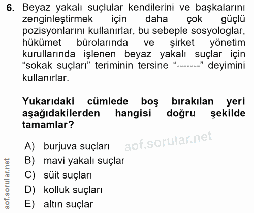 6. soru: Beyaz yakalı suçlular kendilerini ve başkalarını zenginleştirmek için daha çok güçlü pozisyonlarını kullanırlar, bu s…