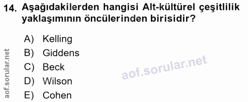 14. soru: Aşağıdakilerden hangisi Alt-kültürel çeşitlilik yaklaşımının öncülerinden birisidir? A) Kelling B) Giddens C) Beck D)…