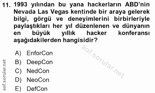 11. soru: 1993 yılından bu yana hackerların ABD'nin Nevada Las Vegas kentinde bir araya gelerek bilgi, görgü ve deneyimlerini b…