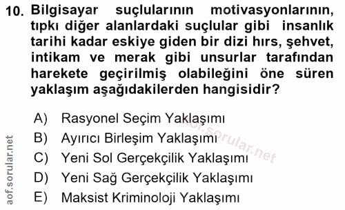 10. soru: Bilgisayar suçlularının motivasyonlarının, tıpkı diğer alanlardaki suçlular gibi insanlık tarihi kadar eskiye giden b…