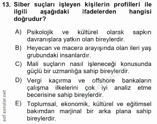 13. soru: Siber suçları işleyen kişilerin profilleri ile ilgili aşağıdaki ifadelerden hangisi doğrudur? A) Psikolojik ve kültür…