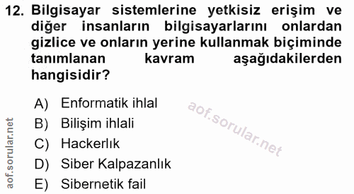 12. soru: Bilgisayar sistemlerine yetkisiz erişim ve diğer insanların bilgisayarlarını onlardan gizlice ve onların yerine kulla…