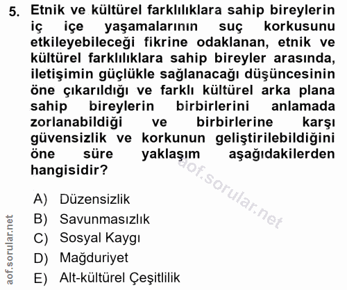 5. soru: Etnik ve kültürel farklılıklara sahip bireylerin iç içe yaşamalarının suç korkusunu etkileyebileceği fikrine odaklana…