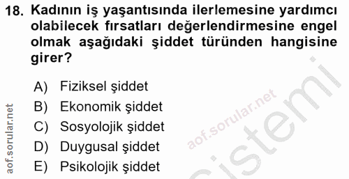 18. soru: Kadının iş yaşantısında ilerlemesine yardımcı olabilecek fırsatları değerlendirmesine engel olmak aşağıdaki şiddet tü…