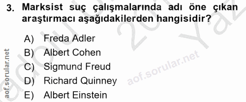 3. soru: Marksist suç çalışmalarında adı öne çıkan araştırmacı aşağıdakilerden hangisidir? A) Freda Adler B) Albert Cohen C) S…
