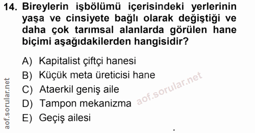 14. soru: Bireylerin işbölümü içerisindeki yerlerinin yaşa ve cinsiyete bağlı olarak değiştiği ve daha çok tarımsal alanlarda g…