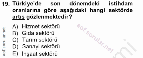 19. soru: Türkiye'de son dönemdeki istihdam oranlarına göre aşağıdaki hangi sektörde artış gözlenmektedir? A) Hizmet sektörü B)…