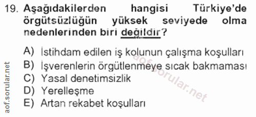19. soru: Aşağıdakilerden hangisi Türkiye'de örgütsüzlüğün yüksek seviyede olma nedenlerinden biri değildir? A) Istihdam edilen…