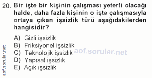 20. soru: Bir işte bir kişinin çalışması yeterli olacağı halde, daha fazla kişinin o işte çalışmasıyla ortaya çıkan işsizlik tü…