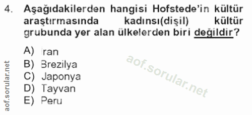 4. soru: Aşağıdakilerden hangisi Hofstede'in kültür araştırmasında kadınsı(dişil) kültür grubunda yer alan ülkelerden biri değ…