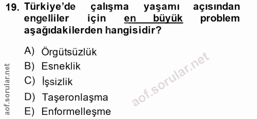 19. soru: Türkiye'de çalışma • yaşamı açısından engelliler için en büyük problem aşağıdakilerden hangisidir? A) Örgütsüzlük B)…