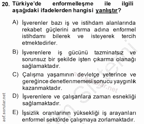 20. soru: Türkiye'de enformelleşme ile ilgili aşağıdaki ifadelerden hangisi yanlıştır? A) İşverenler bazı iş ve istihdam alanla…