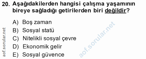 20. soru: Aşağıdakilerden hangisi çalışma yaşamının bireye sağladığı getirilerden biri değildir? A) Boş zaman B) Sosyal statü C…