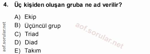 4. soru: Uç kişiden oluşan gruba ne ad verilir? A) Ekip B) Üçüncül grup C) Triad D) Diad E) Takım