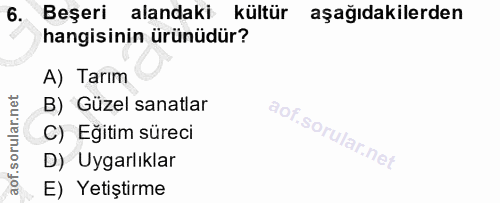 6. soru: Beşeri alandaki kültür aşağıdakilerden hangisinin ürünüdür? A) Tarım B) Güzel sanatlar C) Eğitim süreci D) Uygarlıkla…
