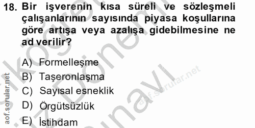 18. soru: Bir işverenin kısa süreli ve sözleşmeli çalışanlarının sayısında piyasa koşullarına göre artışa veya azalışa gidebilm…