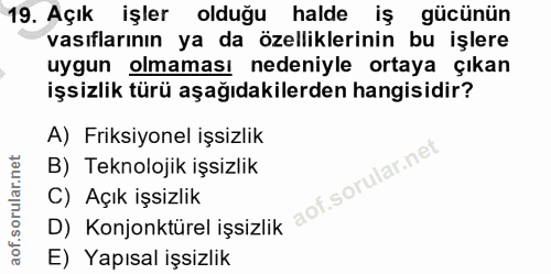 19. soru: Açık işler olduğu halde iş gücünün vasıflarının ya da özelliklerinin bu işlere uygun olmaması nedeniyle ortaya çıkan…