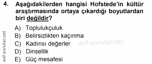 4. soru: Aşağıdakilerden hangisi Hofstede'in kültür araştırmasında ortaya çıkardığı boyutlardan biri değildir? A) Toplulukçulu…