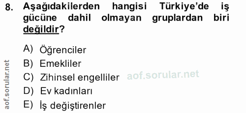 8. soru: Aşağıdakilerden hangisi Türkiye'de gücüne dahil olmayan gruplardan biri değildir? A) Öğrenciler B) Emekliler C) Zihin…