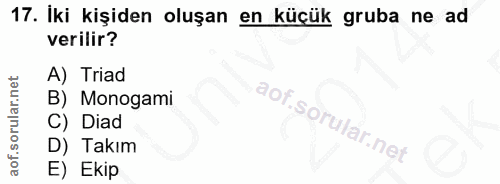 17. soru: İki kişiden oluşan en küçük gruba ne ad verilir? A) Triad B) Monogami C) Diad D) Takım E) Ekip