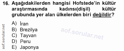 16. soru: Aşağıdakilerden hangisi Hofstede'in kültür araştırmasında kadınsı(dişil) kültür grubunda yer alan ülkelerden biri değ…
