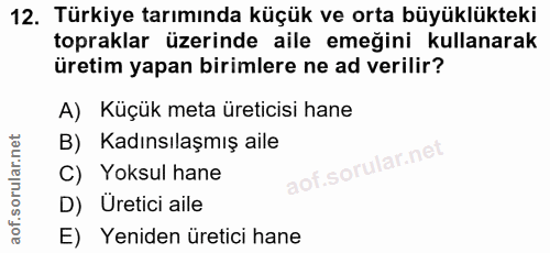 12. soru: Türkiye tarımında küçük ve orta büyüklükteki topraklar üzerinde aile emeğini kullanarak üretim yapan birimlere ne ad…