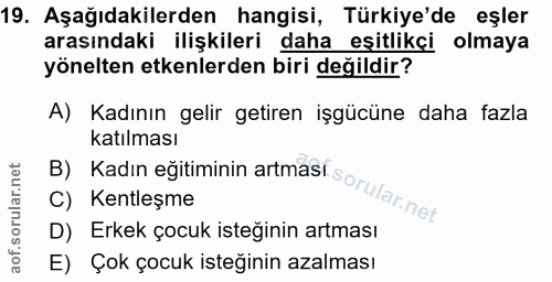 19. soru: Aşağıdakilerden hangisi, Türkiye'de eşler arasındaki ilişkileri daha eşitlikçi olmaya yönelten etkenlerden biri değil…