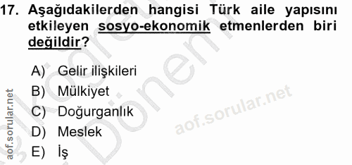 17. soru: Aşağıdakilerden hangisi Türk aile yapısını etkileyen sosyo-ekonomik etmenlerden biri değildir? A) Gelir ilişkileri B)…