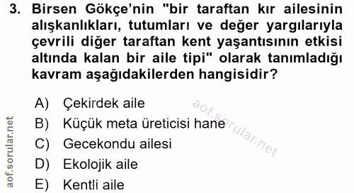 3. soru: Birsen Gökçe'nin "bir taraftan kır ailesinin alışkanlıkları, tutumları ve değer yargılarıyla çevrili diğer taraftan k…