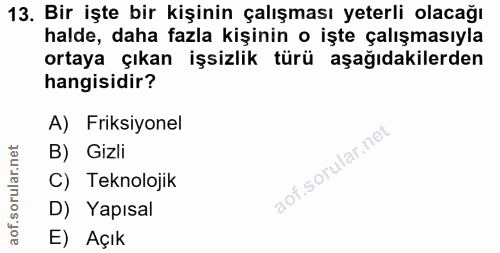 13. soru: Bir işte bir kişinin çalışması yeterli olacağı halde, daha fazla kişinin o işte çalışmasıyla ortaya çıkan işsizlik tü…