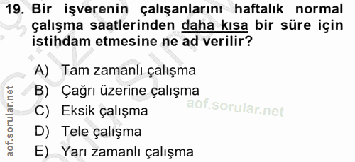 19. soru: Bir işverenin çalışanlarını haftalık normal çalışma saatlerinden daha kısa bir süre için istihdam etmesine ne ad veri…