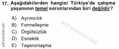 17. soru: Aşağıdakilerden hangisi Türkiye'de çalışma yaşamının temel sorunlarından biri değildir? A) Ayrımcılık B) Formelleşme…