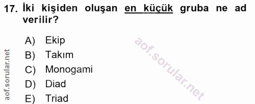17. soru: Iki kişiden oluşan en küçük gruba ne ad verilir? A) Ekip B) Takım l C) Monogami D) Diad E) Triad