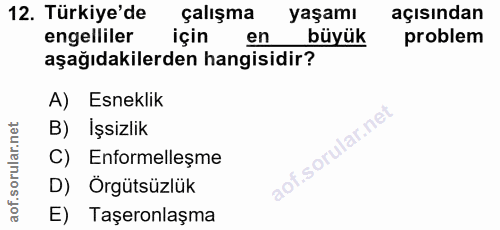 12. soru: Türkiye'de çalışma yaşamı açısından engelliler için büyük problem aşağıdakilerden hangisidir? A) Esneklik B) İşsizlik…