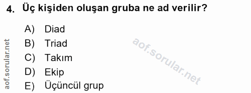 4. soru: Uç kişiden oluşan gruba ne ad verilir? A) Diad B) Triad C) Takım D) Ekip E) Üçüncül grup