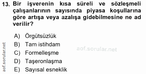 13. soru: Bir işverenin kısa süreli ve sözleşmeli çalışanlarının sayısında piyasa koşullarına göre artışa veya azalışa gidebilm…