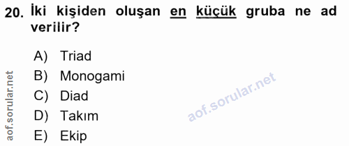 20. soru: Iki kişiden oluşan en küçük gruba ne ad verilir? A) Triad B) Monogami C) Diad D) Takım E) Ekip