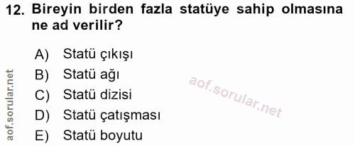 12. soru: Bireyin birden fazla statüye sahip olmasına ne ad verilir? A) Statü çıkışı B) Statü ağı C) Statü dizisi D) Statü çatı…
