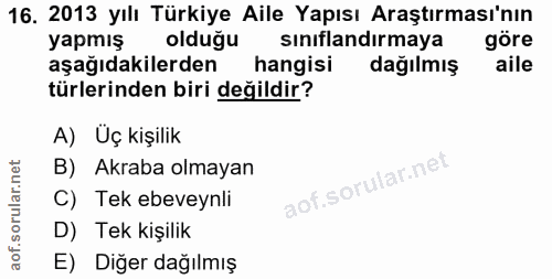 16. soru: 2013 yılı Türkiye Aile Yapısı Araştırması'nın yapmış olduğu sınıflandırmaya göre aşağıdakilerden hangisi dağılmış ail…