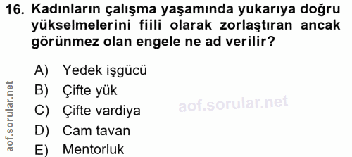 16. soru: Kadınların çalışma yaşamında yukarıya doğru yükselmelerini fiili olarak zorlaştıran ancak görünmez olan engele ne ad…