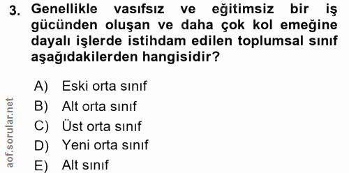 3. soru: Genellikle vasıfsız ve eğitimsiz bir iş gücünden oluşan ve daha çok kol emeğine dayalı işlerde istihdam edilen toplum…