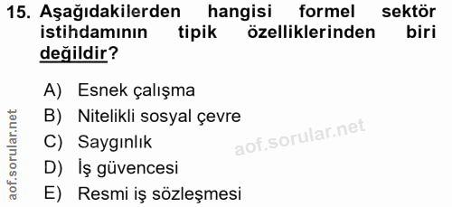 15. soru: Aşağıdakilerden hangisi formel sektör istihdamının tipik özelliklerinden biri değildir? A) Esnek çalışma B) Nitelikli…