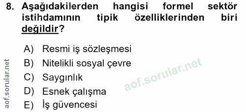 8. soru: Aşağıdakilerden hangisi formel sektör istihdamının tipik özelliklerinden biri değildir? A) Resmi iş sözleşmesi B) Nit…