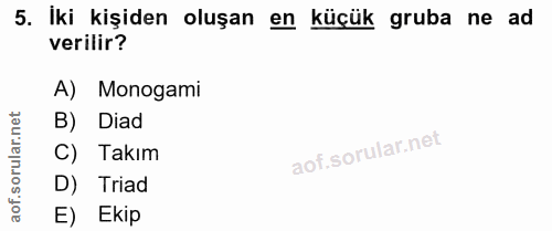 5. soru: İki kişiden oluşan en küçük gruba ne ad verilir? A) Monogami B) Diad C) Takım D) Triad E) Ekip
